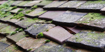 Frith Hill roof repair costs